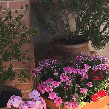 Bed & Breakfast Montalbano 2*